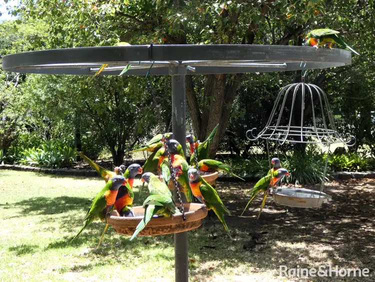 Fifth view of Homely house listing, 8 Crane Place, Moree NSW 2400