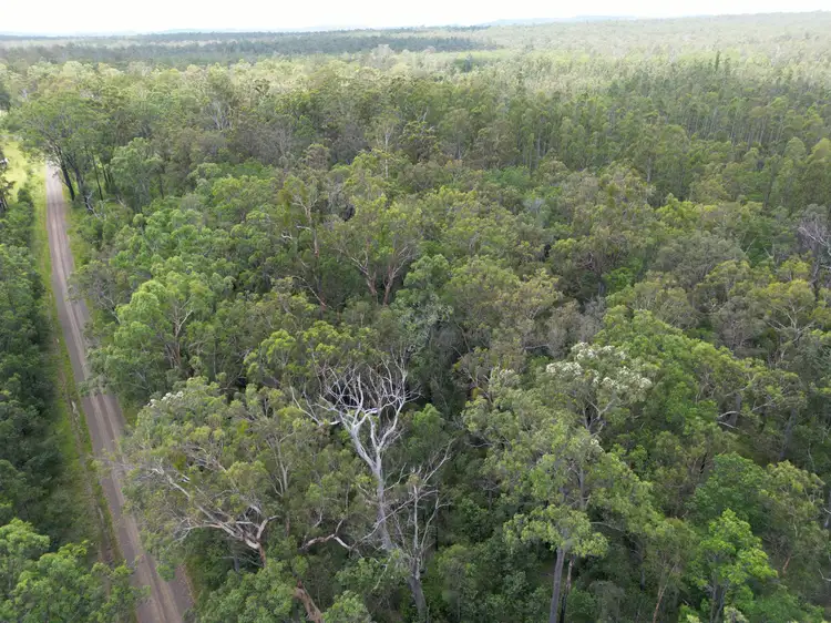 Third view of Homely rural property listing, Lot 3/3424 Bungawalbin whiporie Rd, Whiporie NSW 2469