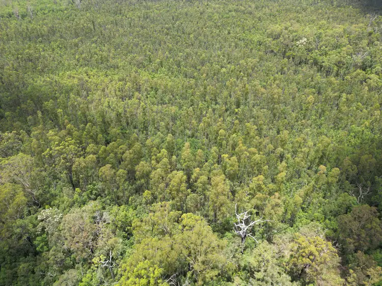 Sixth view of Homely rural property listing, Lot 3/3424 Bungawalbin whiporie Rd, Whiporie NSW 2469