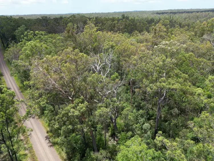 Seventh view of Homely rural property listing, Lot 3/3424 Bungawalbin whiporie Rd, Whiporie NSW 2469