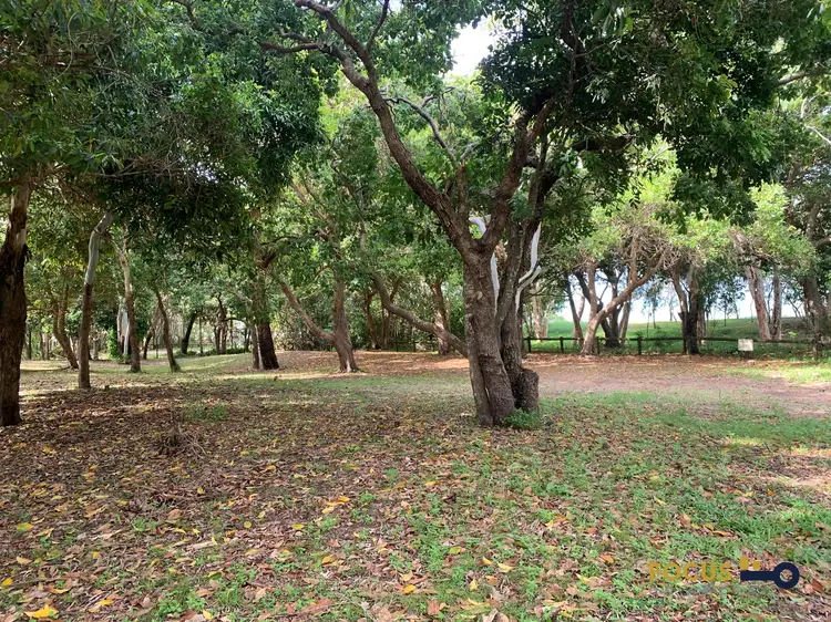 Fourth view of Homely house listing, 31 Buoro Street, Ball Bay QLD 4741