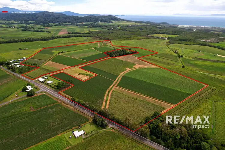 Fifth view of Homely rural property listing, Kylies Road, Miallo QLD 4873