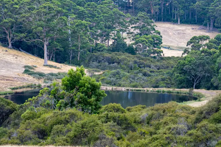 Main view of Homely rural property listing, 202 Dingo Flat Road, Tingledale WA 6333