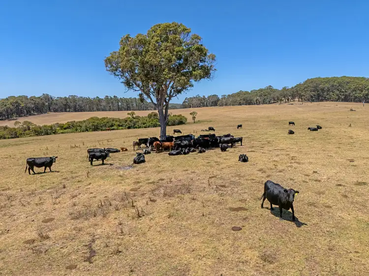 Second view of Homely rural property listing, 202 Dingo Flat Road, Tingledale WA 6333