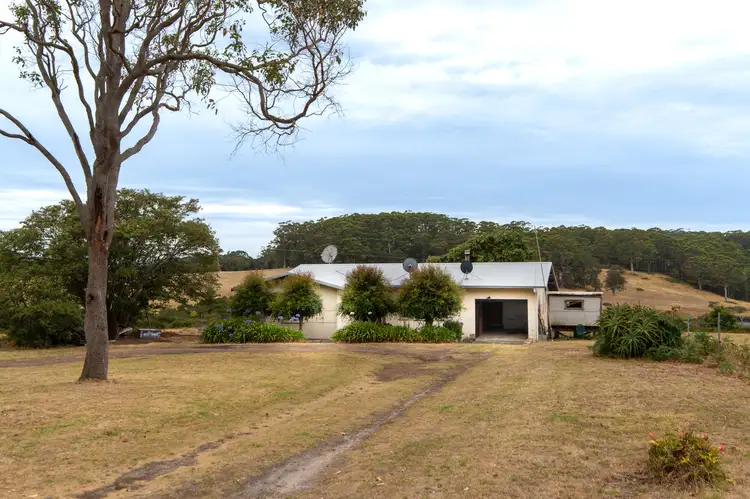 Fourth view of Homely rural property listing, 202 Dingo Flat Road, Tingledale WA 6333