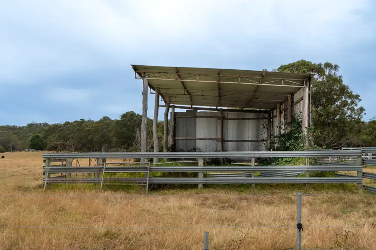 Seventh view of Homely rural property listing, 202 Dingo Flat Road, Tingledale WA 6333