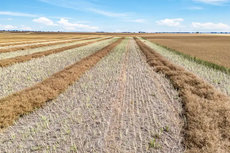 Fourth view of Homely rural property listing, 403 Yarram Gap Road, Willaura VIC 3379