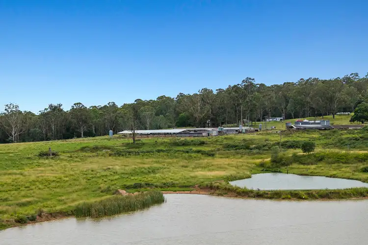 Fifth view of Homely rural property listing, 315 Mooneys Lane, Ellangowan NSW 2470