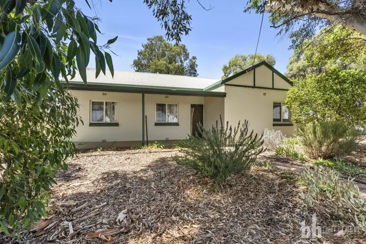 Second view of Homely house listing, 202 Tooravale Road, Monash SA 5342
