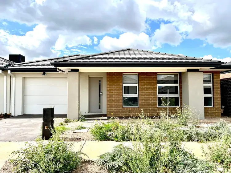 14 Rangipo Street, Truganina VIC 3029