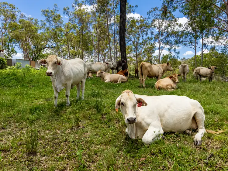 Third view of Homely rural property listing, 10 Moolboolaman Road, Moolboolaman QLD 4671