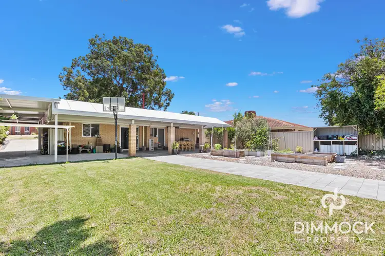 50 Woodpecker Avenue