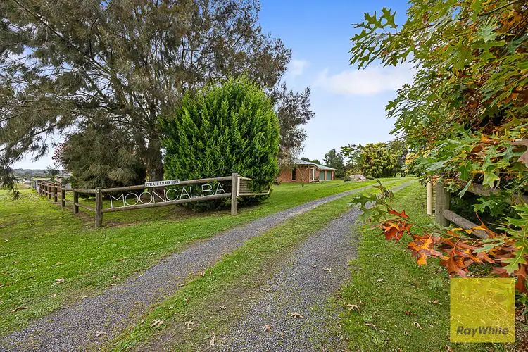 10 Cargeegs Road, Foster VIC 3960