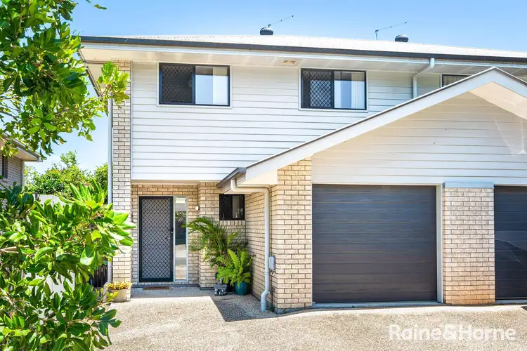 20 Panda Street