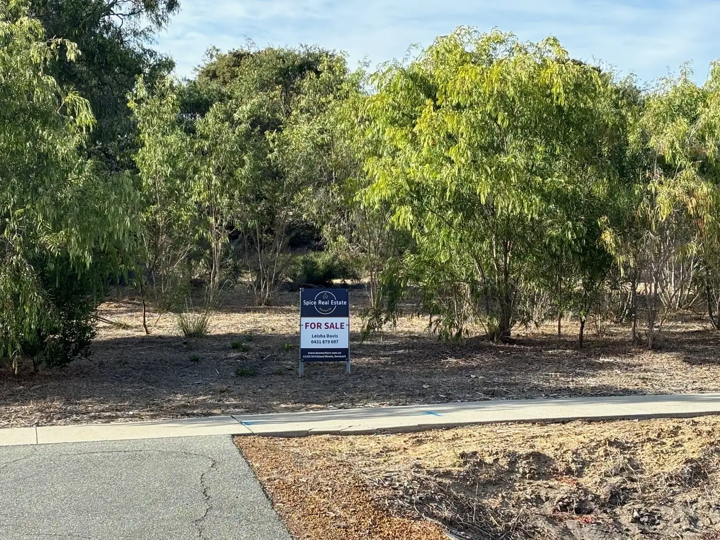 Main view of Homely land listing, 38 Bremer Bay Road, Bremer Bay WA 6338