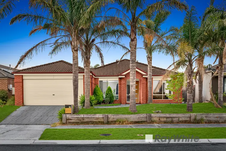 19 Menzies Close, Narre Warren South VIC 3805