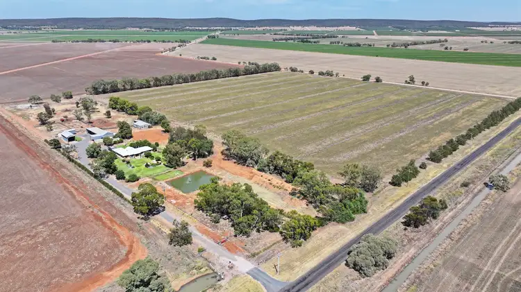 991 Myall Park Road, Myall Park NSW 2681
