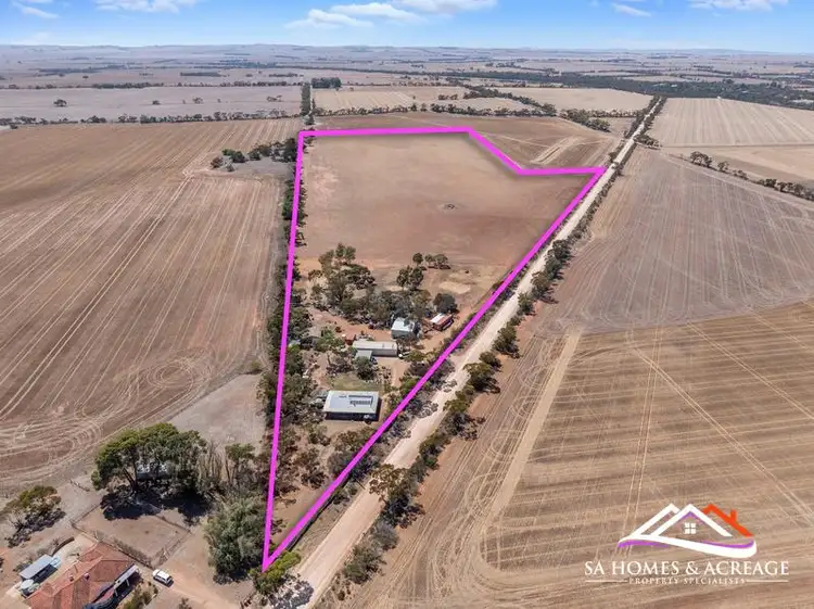 Main view of Homely rural property listing, 170 Standpipe Road, Halbury SA 5461