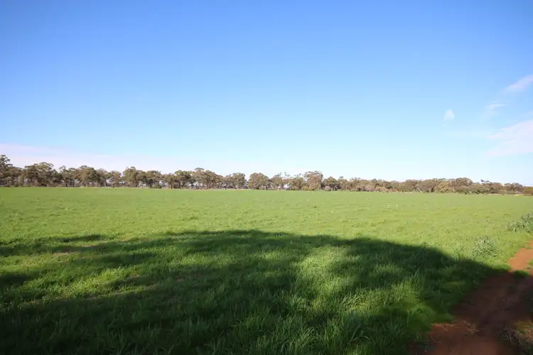 Sixth view of Homely rural property listing, 25 Trewicks Road, Elmore VIC 3558