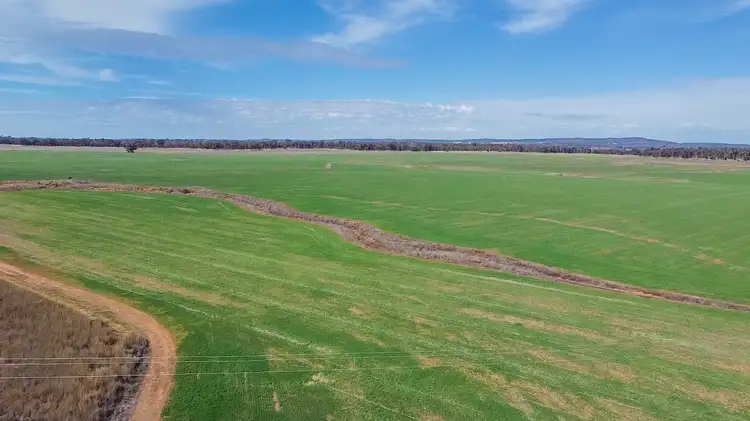 Fourth view of Homely rural property listing, 1638 & 2012 Piambra Road, Neilrex NSW 2831