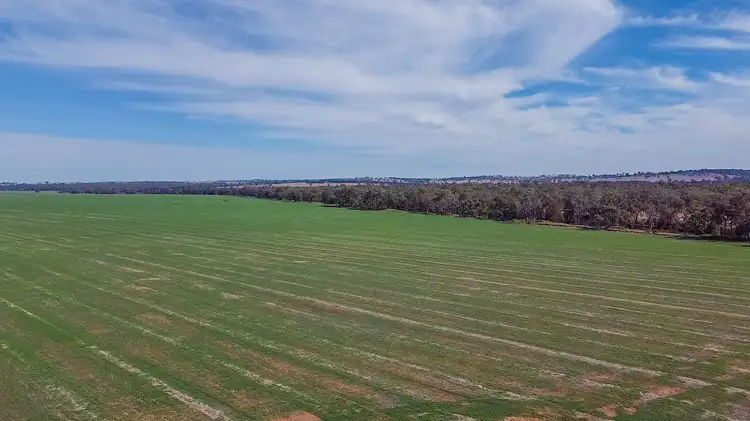 Fifth view of Homely rural property listing, 1638 & 2012 Piambra Road, Neilrex NSW 2831