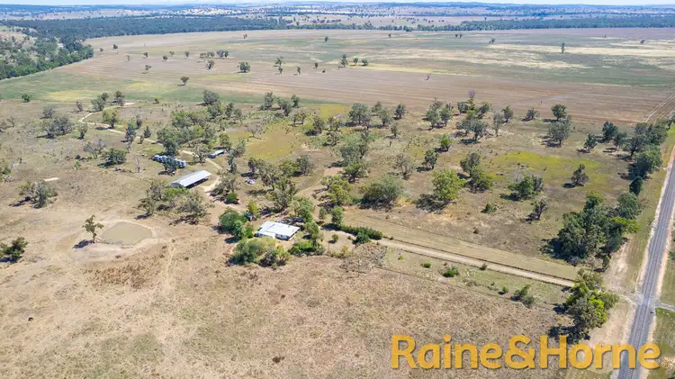 Sixth view of Homely rural property listing, 1638 & 2012 Piambra Road, Neilrex NSW 2831