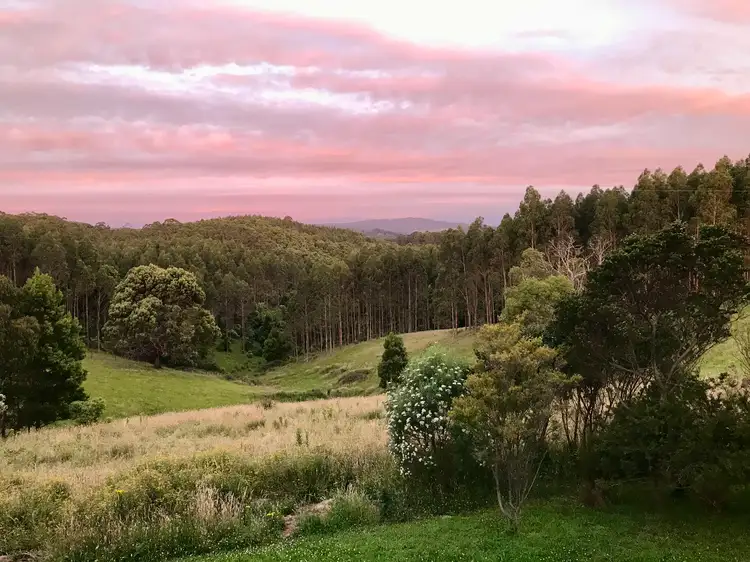 Main view of Homely house listing, 1014 Ameys Track, Foster North VIC 3960