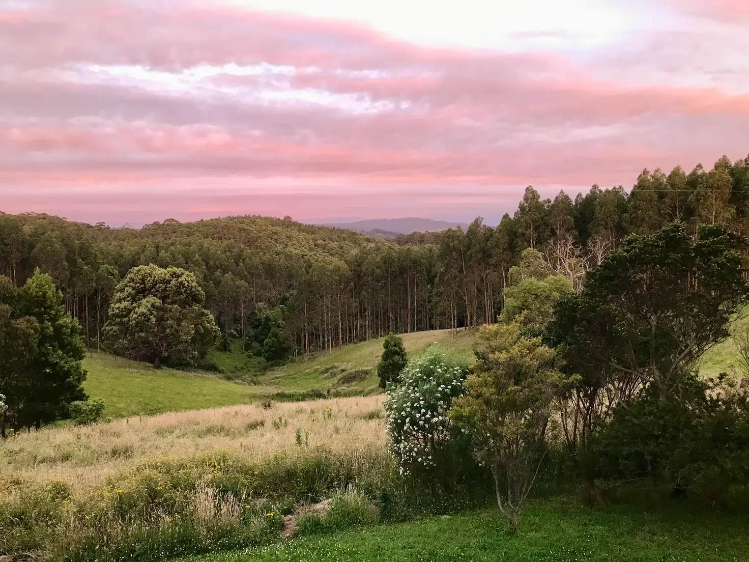 Main view of Homely house listing, 1014 Ameys Track, Foster North VIC 3960