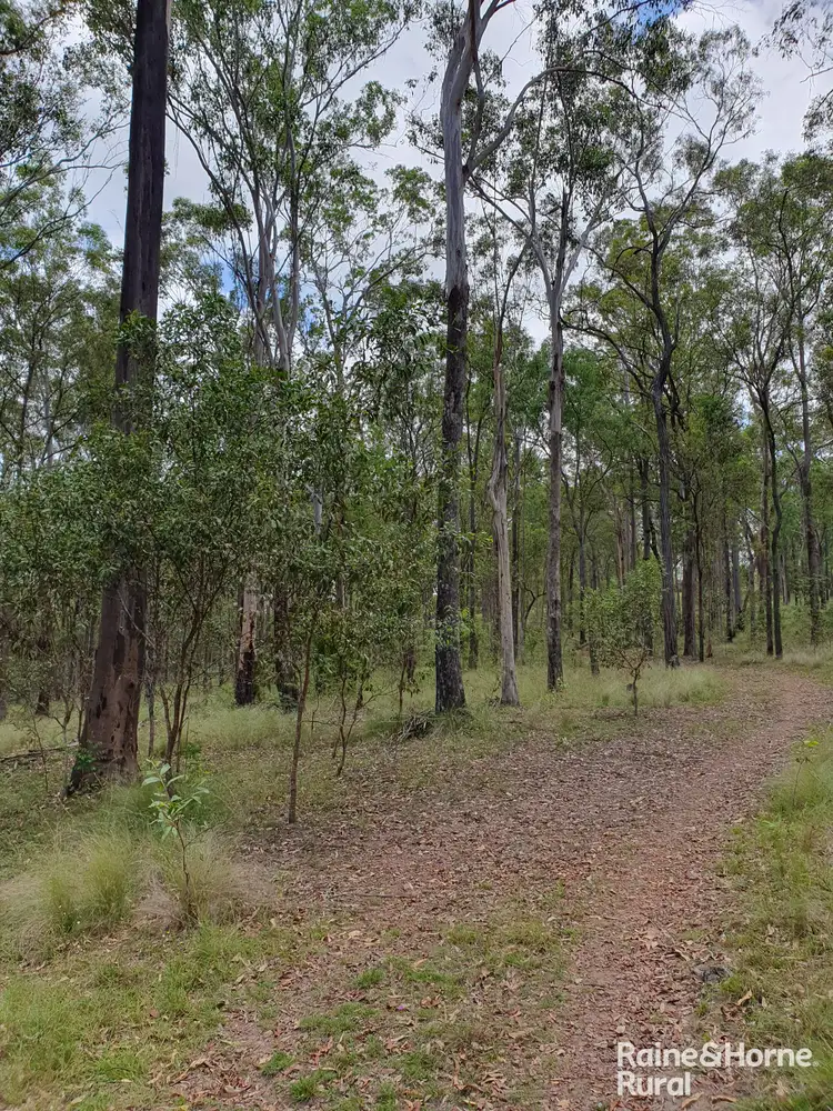 Fourth view of Homely rural property listing, 111 Maguire Road, Wattle Camp QLD 4615