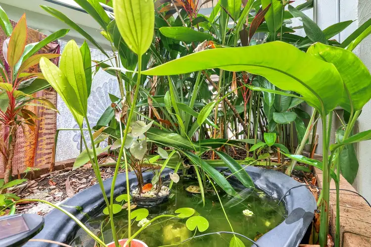 Second view of Homely unit listing, 31/23 Hudson Fysh Avenue, Parap NT 820