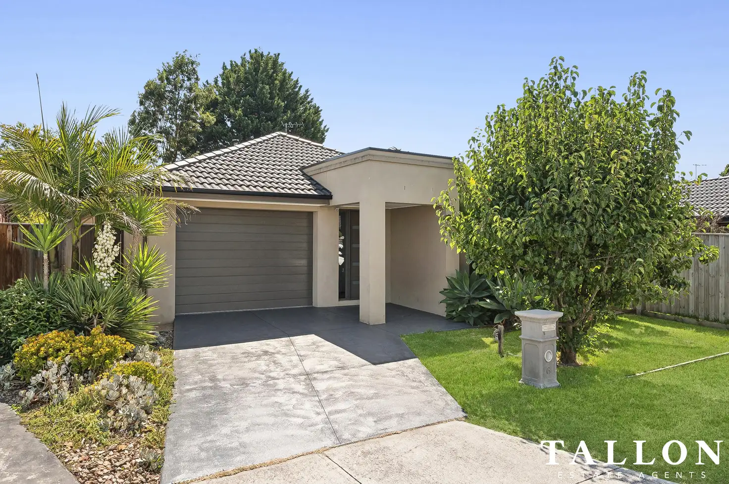 Main view of Homely house listing, 6 Anastasi Place, Hastings VIC 3915