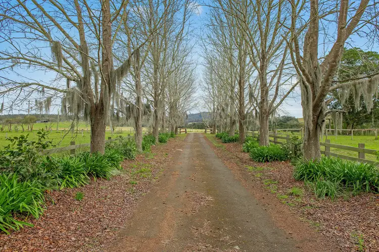 Second view of Homely rural property listing, 114 Hartys Plains Road, Hartys Plains NSW 2446