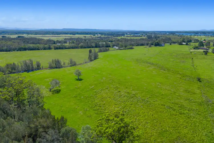 Sixth view of Homely rural property listing, 385 Fernbank Creek Road, Fernbank Creek NSW 2444