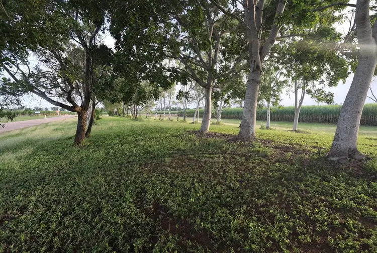 Main view of Homely land listing, 406 Old Clare Road, Mcdesme QLD 4807