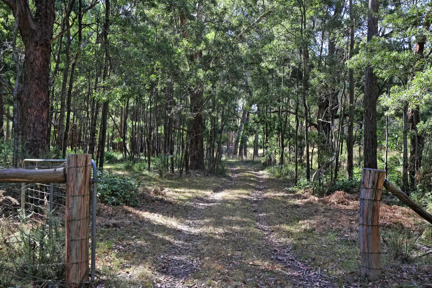 Main view of Homely land listing, 161 Chambers Road, Ashbourne VIC 3442