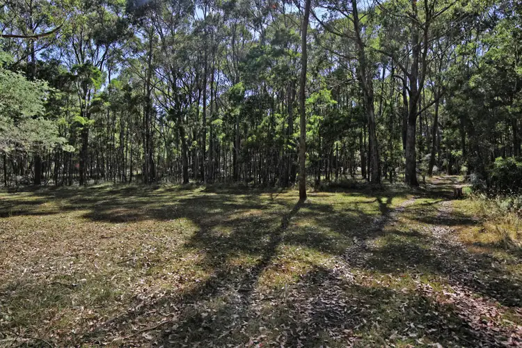Third view of Homely land listing, 161 Chambers Road, Ashbourne VIC 3442