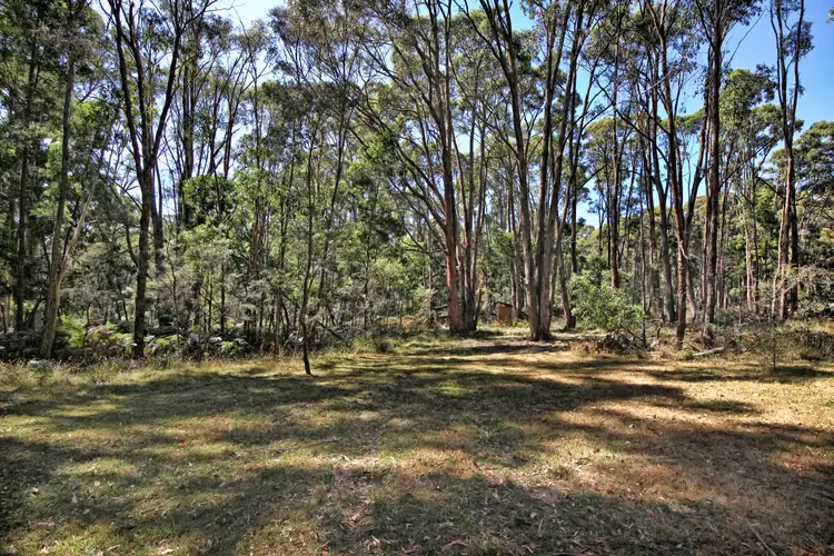 Fourth view of Homely land listing, 161 Chambers Road, Ashbourne VIC 3442