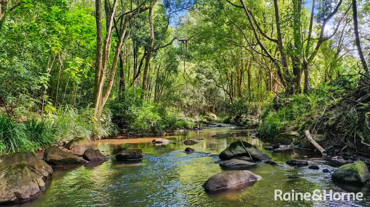 566 Koonorigan Road, The Channon NSW 2480
