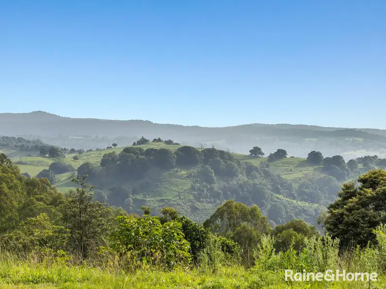 Fourth view of Homely rural property listing, 566 Koonorigan Road, The Channon NSW 2480