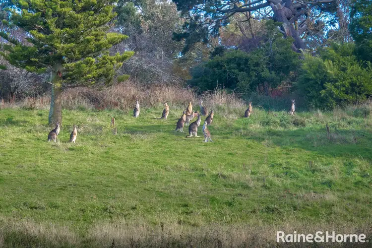 Seventh view of Homely land listing, 212 Panorama Drive, Gisborne VIC 3437