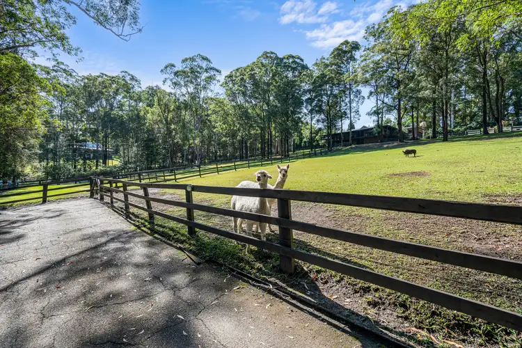 Fourth view of Homely rural property listing, 165 Glenning Road, Glenning Valley NSW 2261