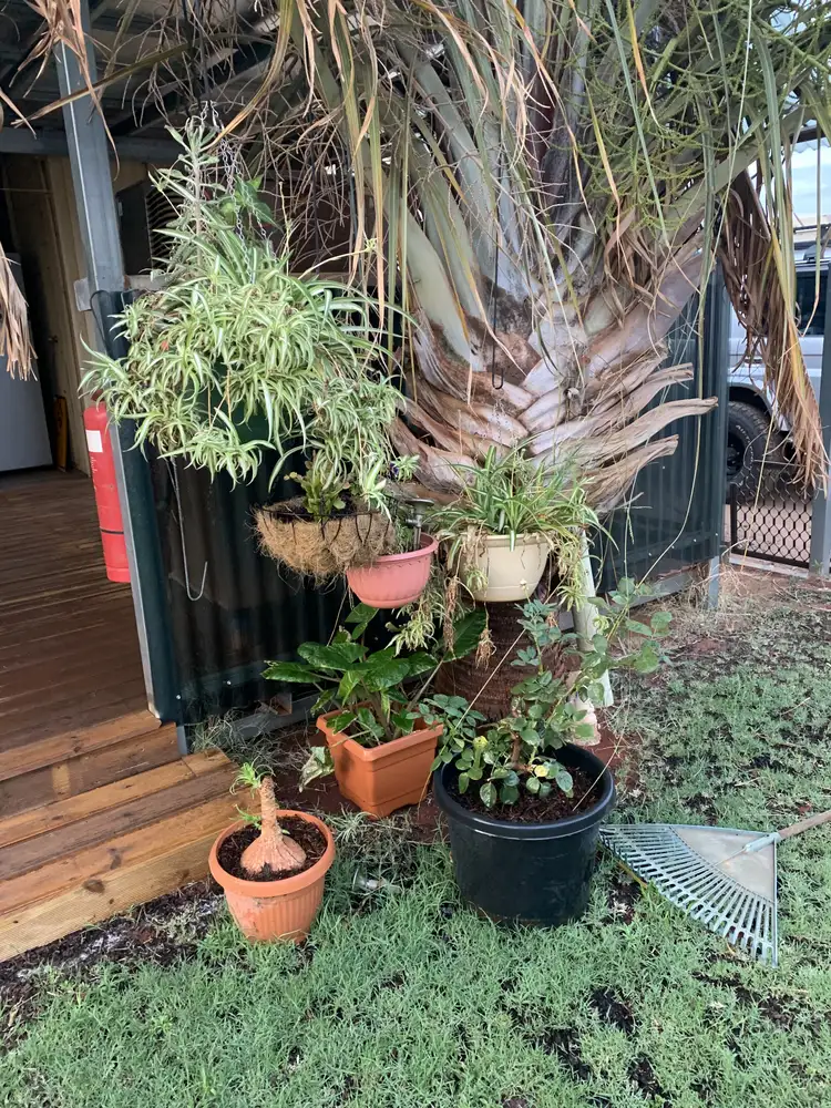 Third view of Homely house listing, 14 Cox Street, Laverton WA 6440