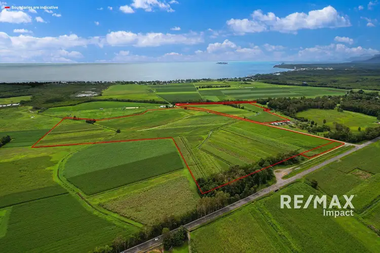 Seventh view of Homely rural property listing, 57 BELLS ROAD, Newell QLD 4873
