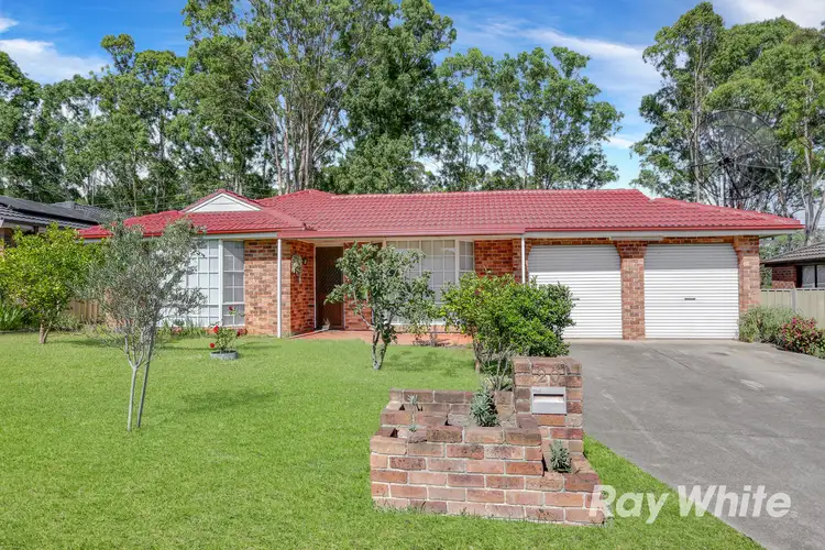 Main view of Homely house listing, 20 Dryberry Avenue, St Clair NSW 2759