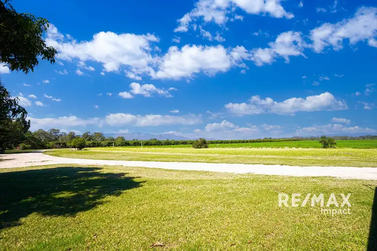 Seventh view of Homely rural property listing, 323 Malone Road, Mareeba QLD 4880