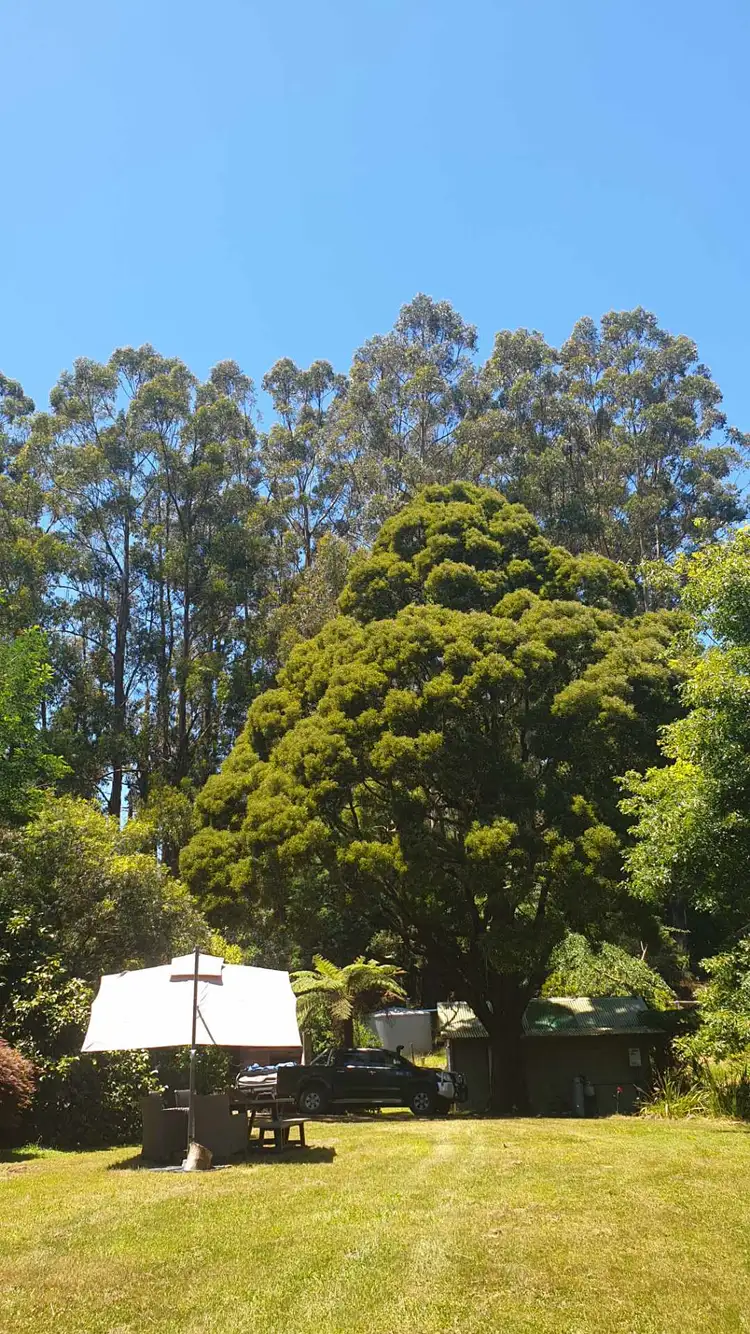 Fifth view of Homely rural property listing, 175 Denhams Road, Hallston VIC 3953
