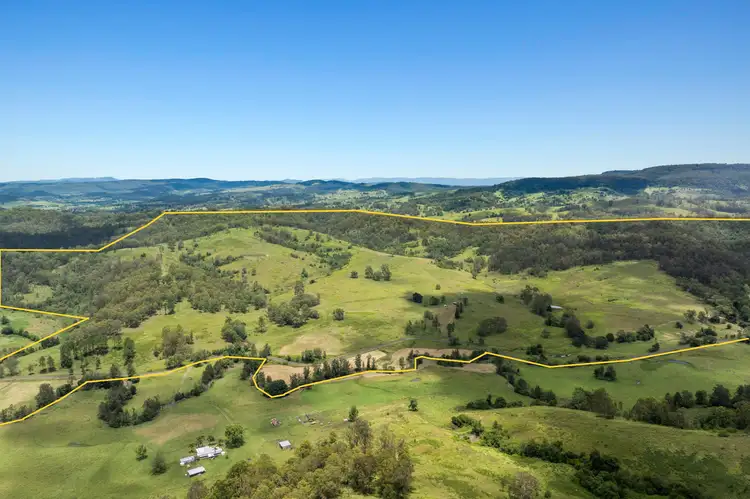 665 Theresa Creek Road, Theresa Creek NSW 2469