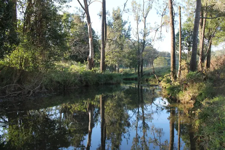 Seventh view of Homely rural property listing, 665 Theresa Creek Road, Theresa Creek NSW 2469