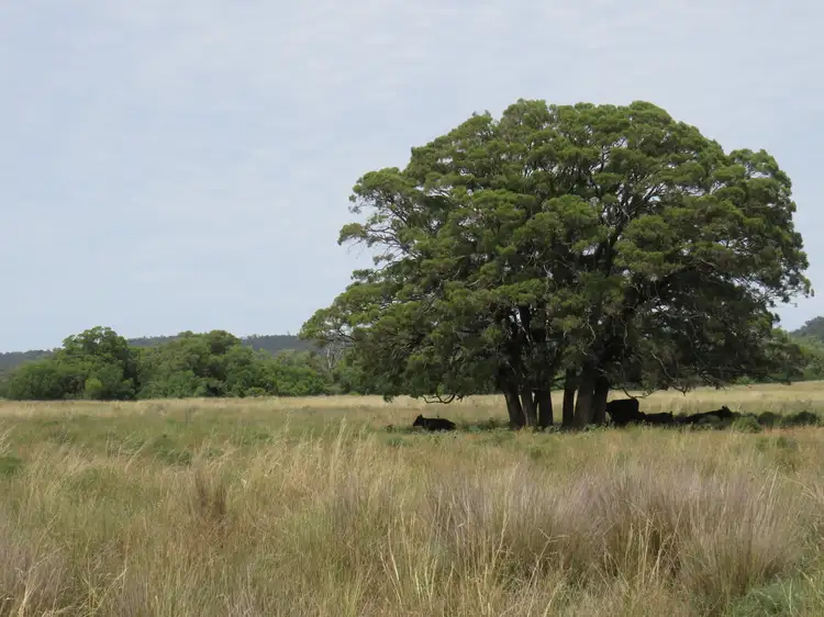 Second view of Homely rural property listing, "Wollaroi" Bangheet Road, Bingara NSW 2404