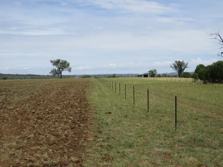 Fourth view of Homely rural property listing, "Wollaroi" Bangheet Road, Bingara NSW 2404